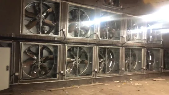 Ventilateur d'extraction de Ventilation industrielle avec coussin de refroidissement pour hangar à volailles en serre