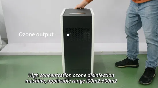 Machine portative d'ozonateur de désinfection de purificateur d'air de générateur d'ozone de Flygoo 60 g/H