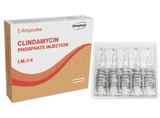 Injection de phosphate de clindamycine 600mg/4ml avec OEM GMP