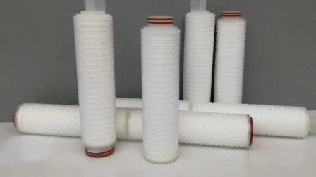 Cartouche filtrante plissée PVDF hydrophile à double couche de filtration de l'eau pour API stériles